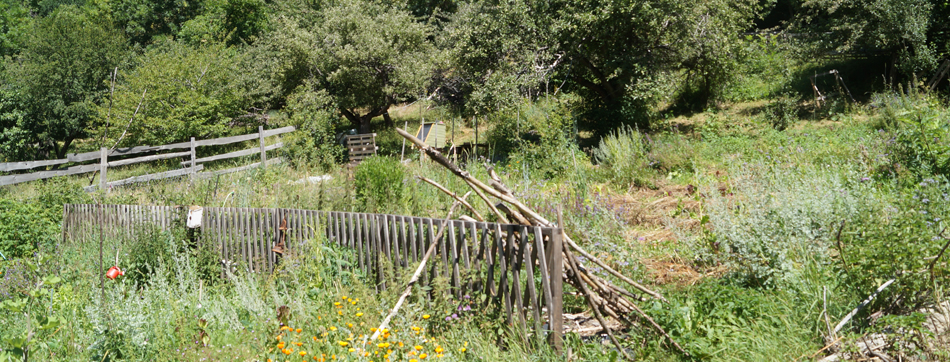 Apporter des plantes et les cultiver peut se faire en laissant toute sa place à la nature environnante.