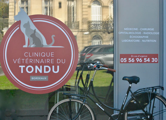 PROTECTION DE VOTRE CHIEN CONTRE LES PUCES ET LES TIQUES PENDANT 1 AN