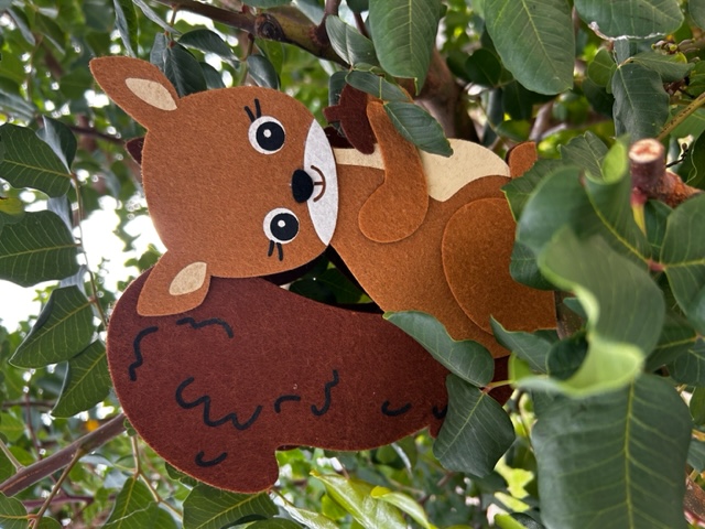 Das Eichhörnchen