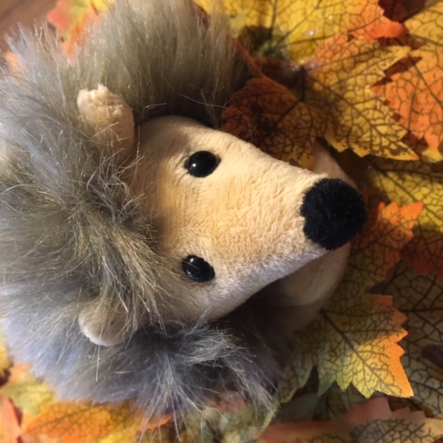 Der kleine Igel Isedor