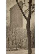 A. Stieglitz "The Frat Iron Building"