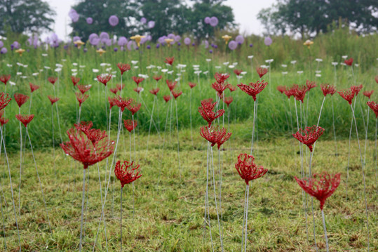 Expérience de Sculptillonnage - Coquelicots - Jardin des Merlettes - juin © Claude Pasquer