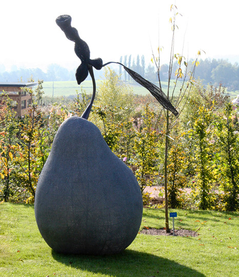 Poire géante - Jardin de Laquenexy © Claude Pasquer