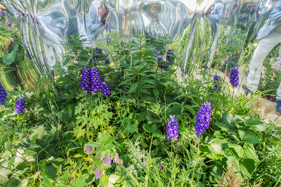 Le Labyrinthe de Miroirs