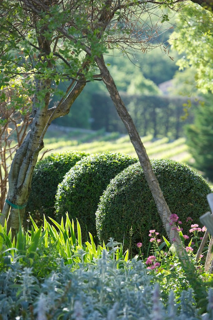 Les Croqueurs de jardin - La Molière - Photo Franck Bel ©