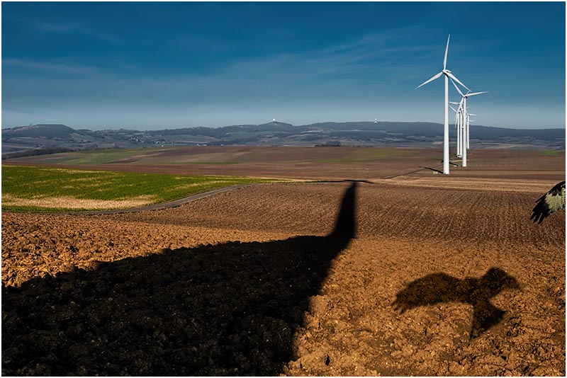 Windkraft Niederösterreich