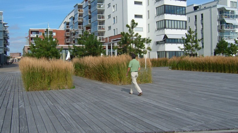 Hartholz - Holzhandlung Kirchhoff in Bremerhaven