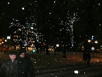 公園の木々に光るイルミネーション。　　　　　　　　　　　　　　　　　　丸く光るのは、降り注ぐ雪。