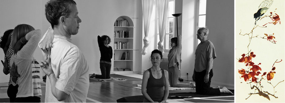 Une séance DÉBUTANT de Hatha Yoga guidée sous le regard attentif et bienveillant de l'enseignante - Posture de Yoga - La demi-tête de vache. Chacun.e évolue en fonction de ses possibilités.