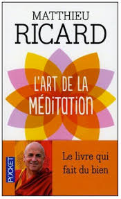 L'art de la Méditation - Mathieu Ricard