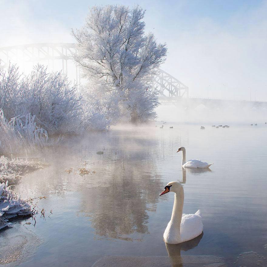 L'Hiver et le Signe du Capricorne