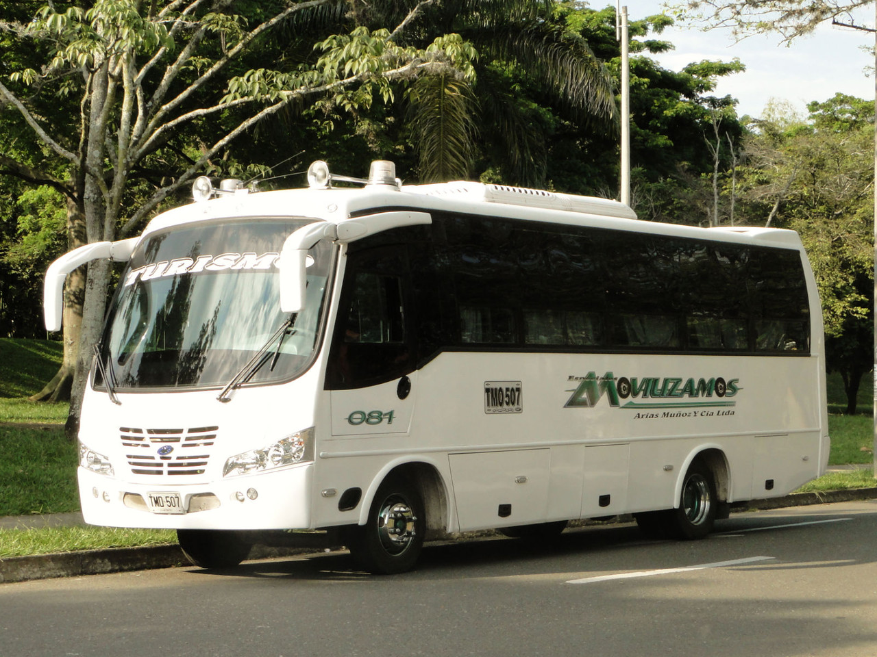Bus No.81