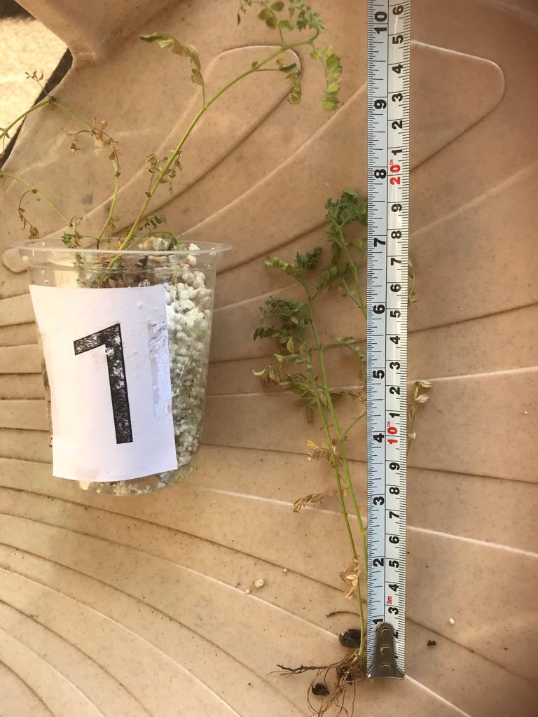 Check for biomass weight, height