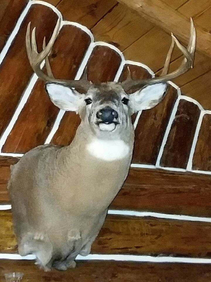 CA, Buck 