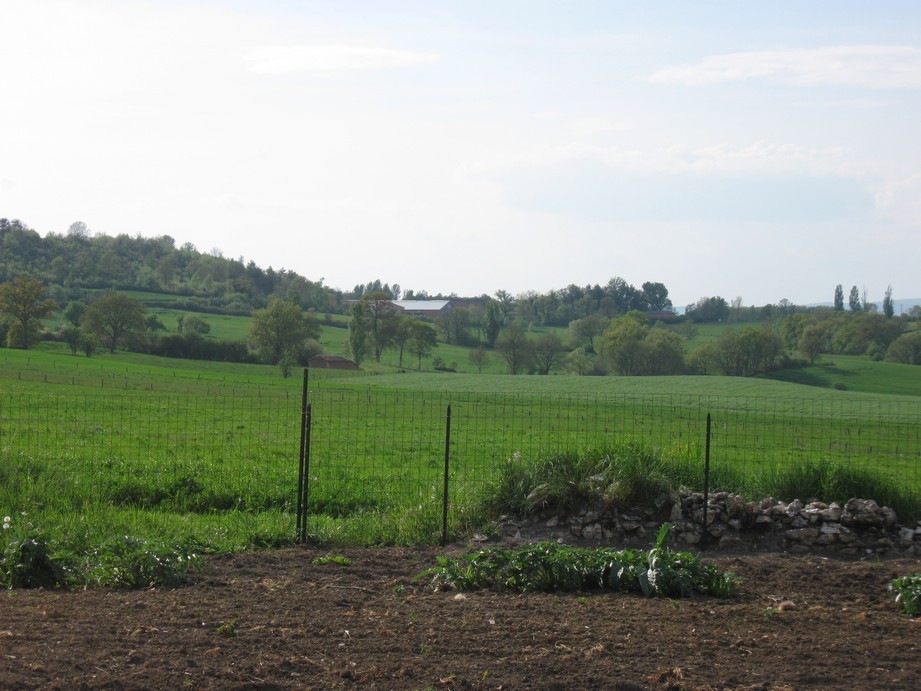 Vue de la cuisine