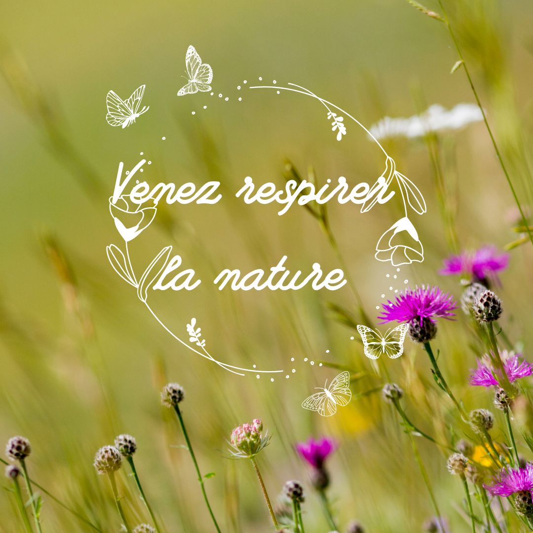 Avant-première. Le site créatif de la Fabrik nature sur GreenGo