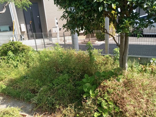 除草