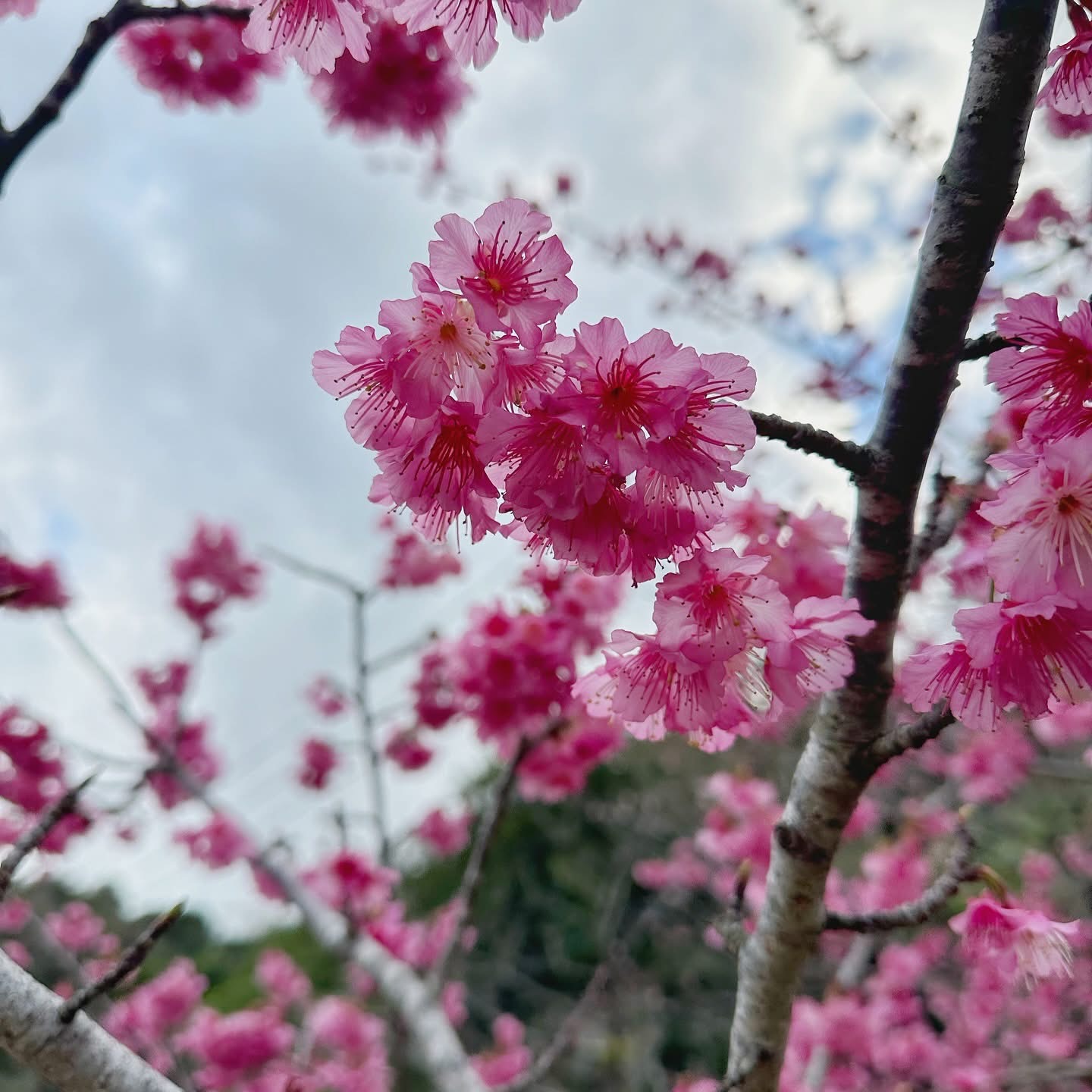 新春快乐