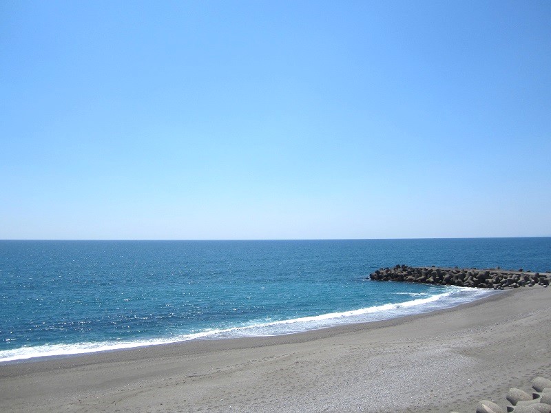 桂浜～