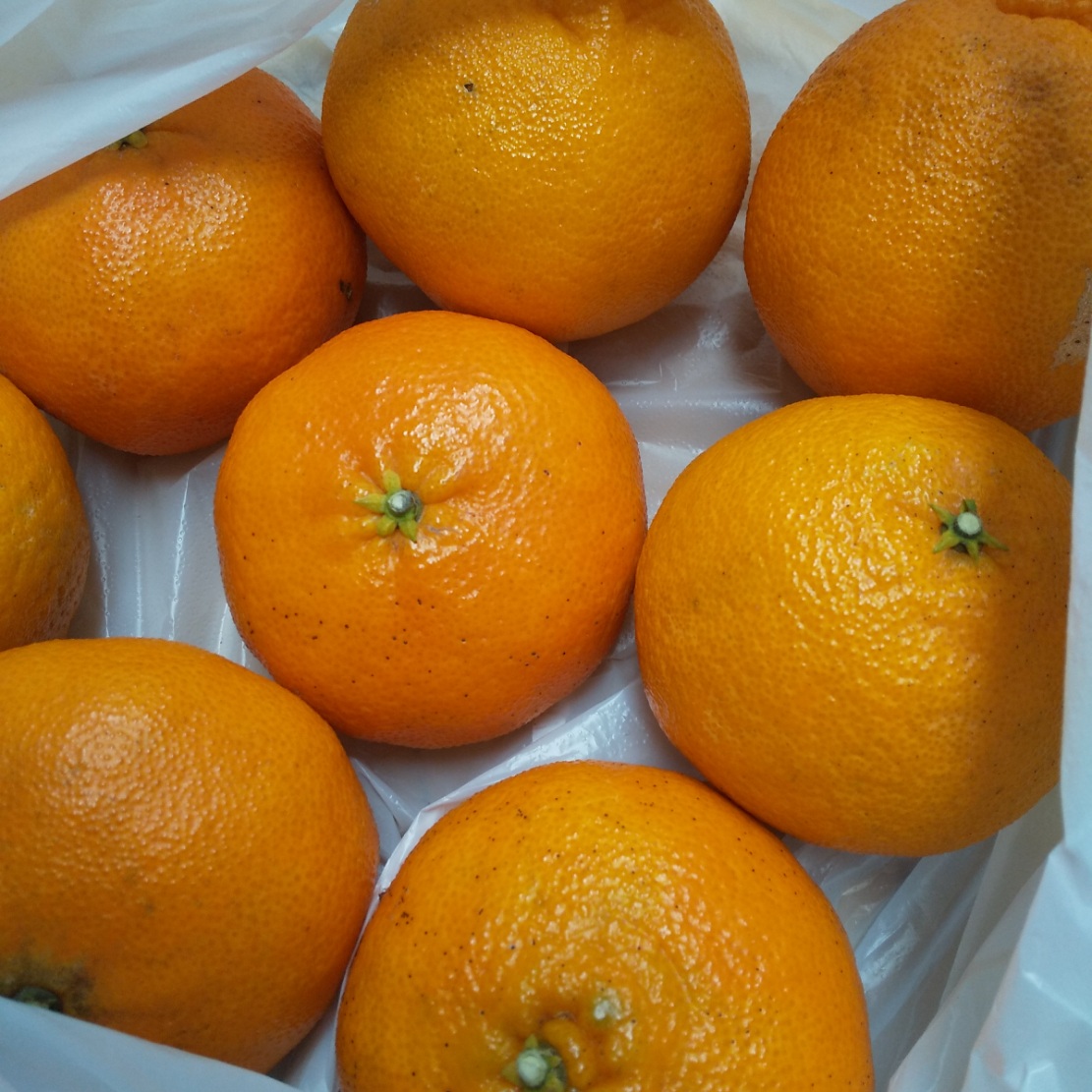 愛媛県のお得意様、S様がご来店～。