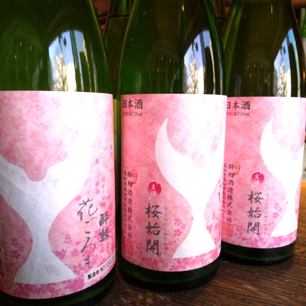 春～という感じの純米大吟醸　生酒が入荷～