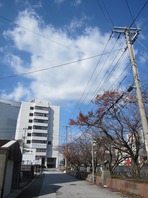 秋晴れの月曜日～高知