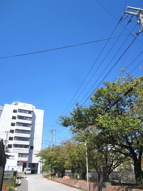 今日から10月最後の一週間が始まり～