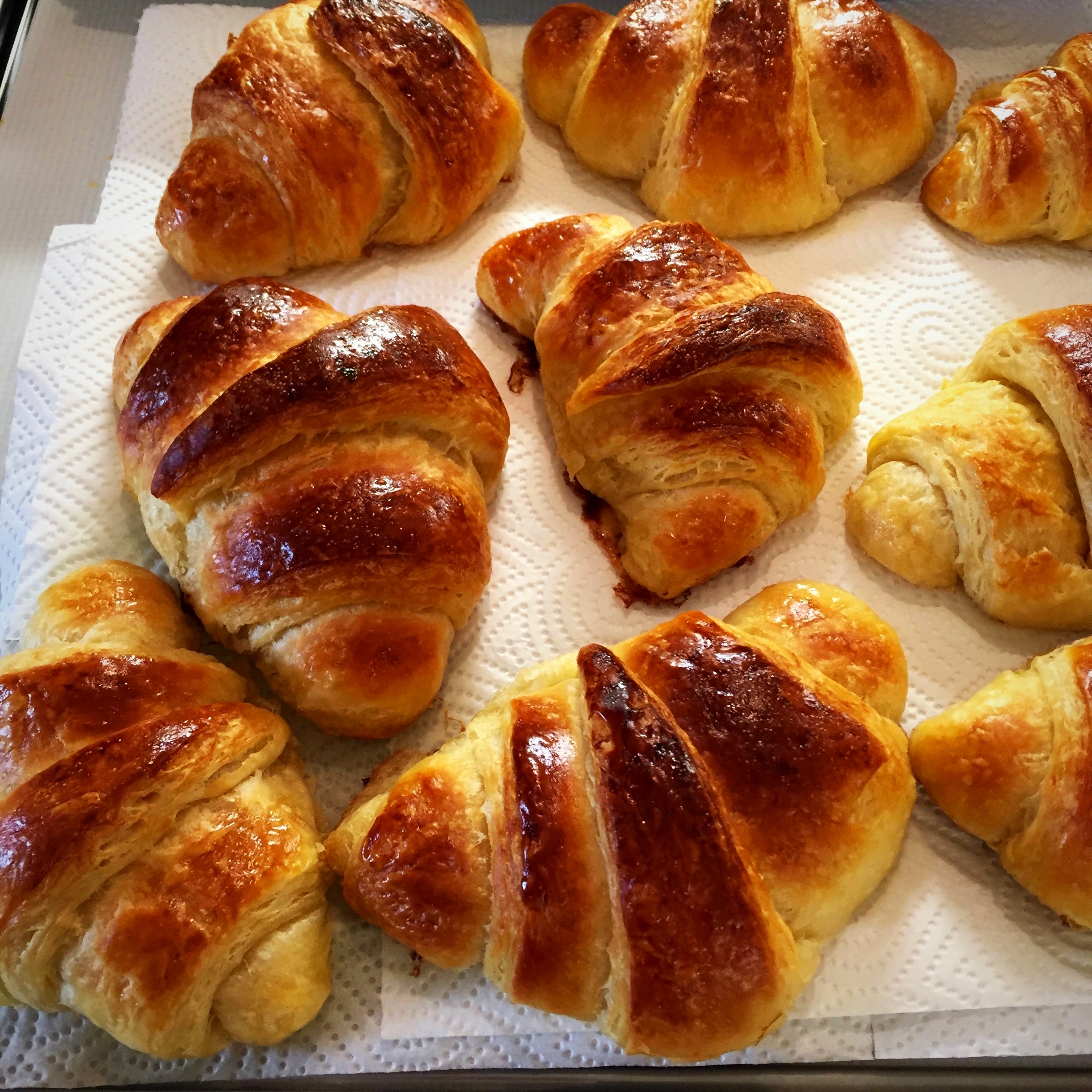 Croissants - Brotgenuss - jetzt wird gebacken
