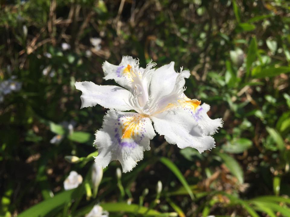 2019年6月 リーダーと組織のOSバージョンアップを加速させます