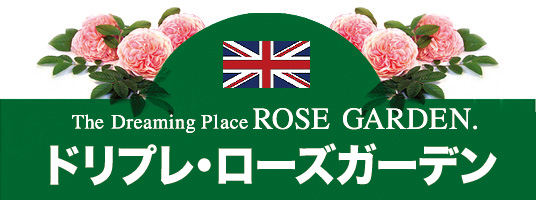 房総半島の森の中 手作りのドリプレ ローズガーデン 房総半島の森の中 手作りのドリプレ ローズガーデン