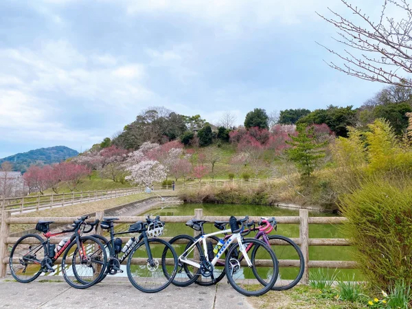 淡路島　電動アシスト　レンタル