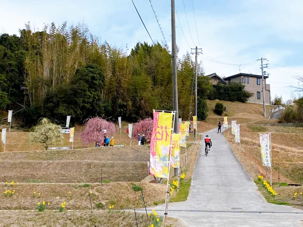 淡路島　電動アシスト　レンタル