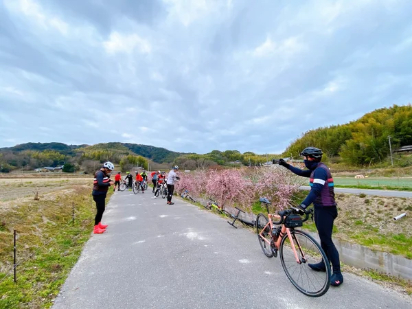 淡路島　電動アシスト　レンタル