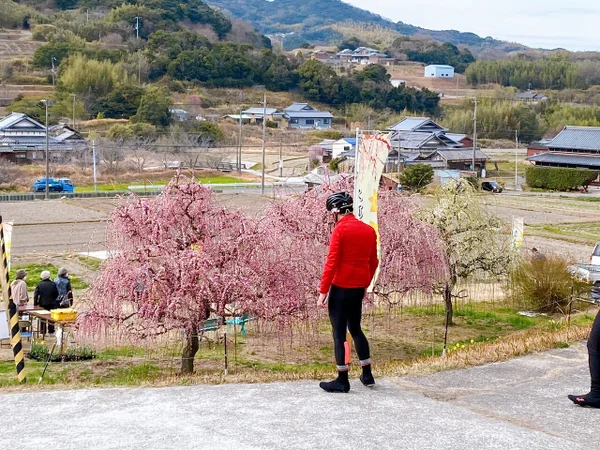 淡路島　電動アシスト　レンタル