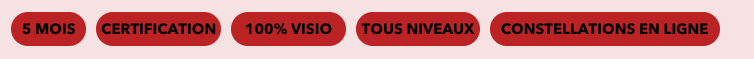 les avantages de la formation de therapeute en constellation familiale en ligne