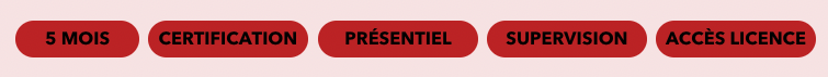 les avantages de la formation de thérapeute en constellation familiale et systémique