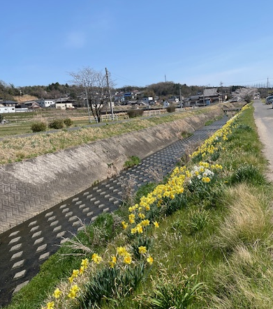 5月12日・13日は工房メンテナンスの為体験をお休みします