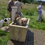 Sunny im Brunnen Fotoy by O. Bielli