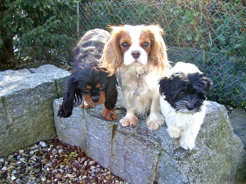 Mit ihren Freundinnen Keira und Ginny!