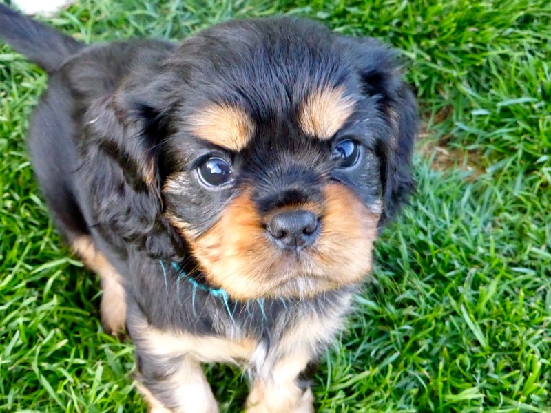 Dieser Blick - ganz die Mama!