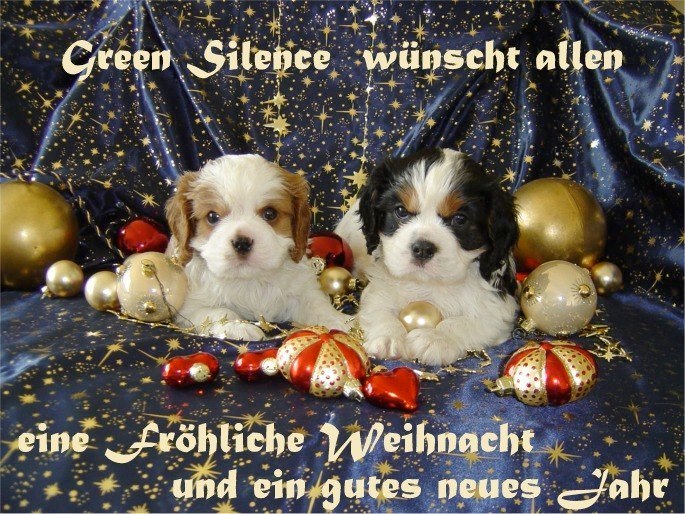 So gibt es ein herrliches Weihnachtskärtchen!