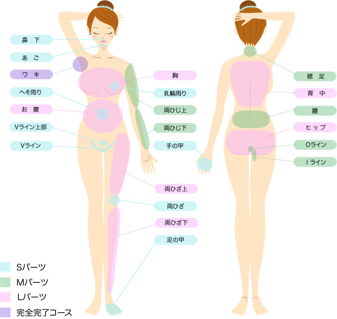 脱毛部位表/脱毛フルール