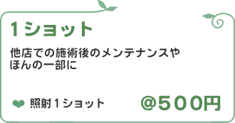 1ショット価格/脱毛フルール