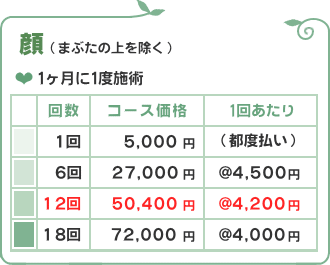 顔脱毛価格/脱毛フルール
