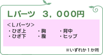 Lパーツ価格3,000円