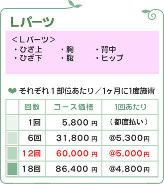 Lパーツ価格/脱毛フルール