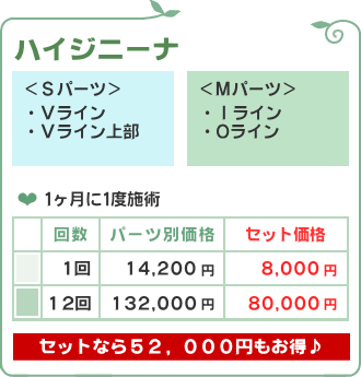 ハイジニーナ脱毛/脱毛フルール