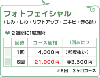 フォトフェイシャル/脱毛フルール