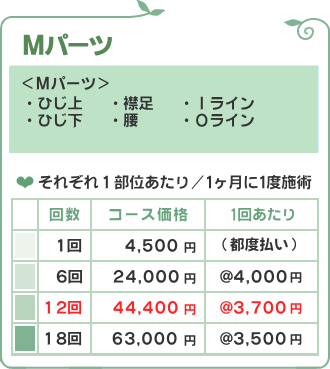 Mパーツ価格/脱毛フルール
