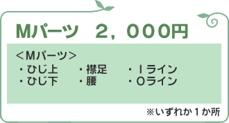 Mパーツ価格12000円
